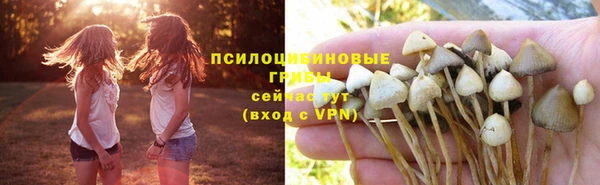 молекула духа Горняк