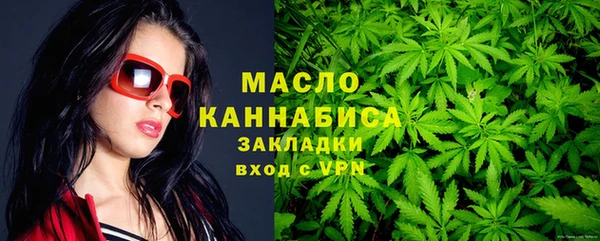 молекула духа Горняк